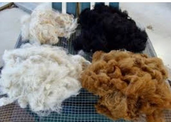 Raw Alpaca Fleece, Raw Alpaca Fiber, Alpaca Wool, Bird Nesting Material,  Felting Supplies, Felting Wool, Fiber for Crafts, Craft Wool -  Canada