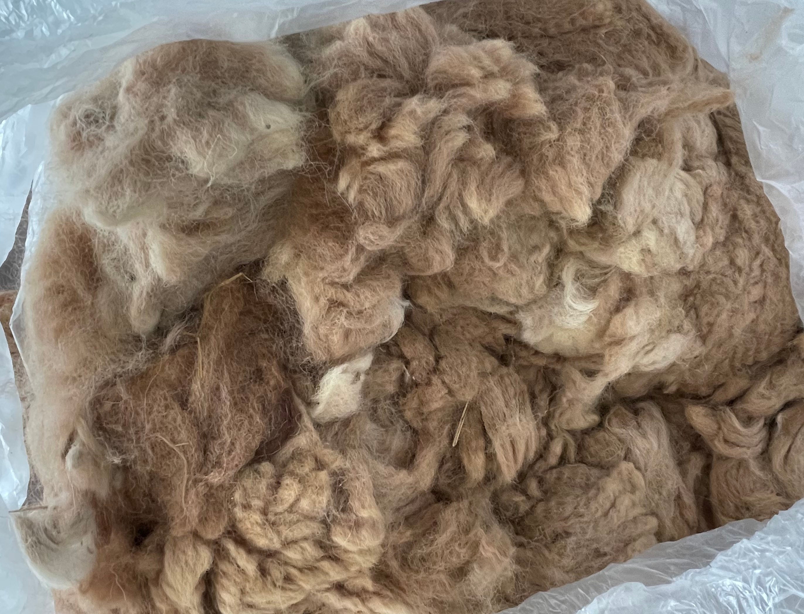 Raw Alpaca Fleece Raw Alpaca Fiber Alpaca Wool Bird Nesting Etsy