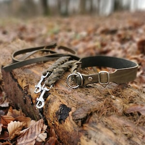 NUCA I Zugstopp-Halsband & Leine