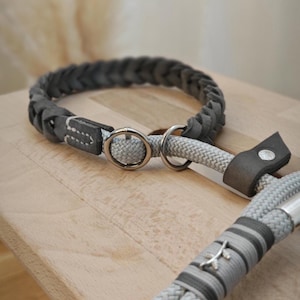 Laisse pour retriever MOONY I, laisse Moxon