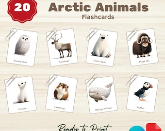 Watercolor Arctic Animals Flashcards: Montessori 3-Part Cards (Printable PDF + Canva Link