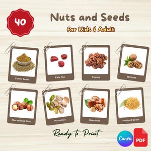 40 Flashcards de NOZES E SEMENTES | Cartões Montessori editáveis em 3 partes | Link do Canva + Arquivo PDF para impressão | Pré-escola, Crianças, Estudantes