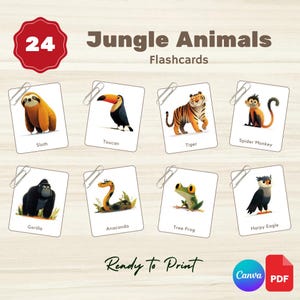 Tarjetas didácticas de animales de la selva en acuarela: Montessori (3 partes) (PDF imprimible + enlace a Canva)