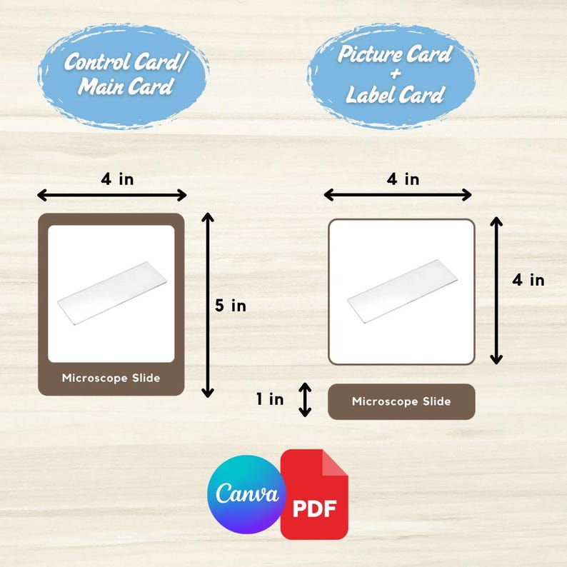 Laboratory Equipment Flashcards: Montessori 3-part Cards (printable PDF ...
