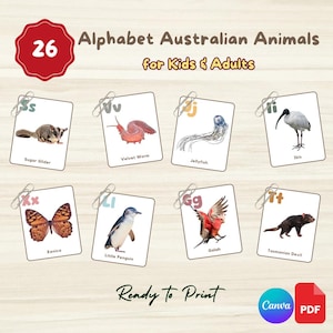ALPHABET AUSTRALIAN ANIMALS Flashcards | 26 Editable Montessori 3-Part Cards | Canva Link + Printable Pdf File | Preschool Kindergarten