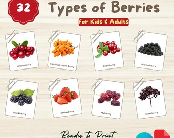 32 Arten von BEEREN Flashcards: Montessori 3-teilige Karten (druckbare PDF + bearbeitbare Canva-Vorlage)