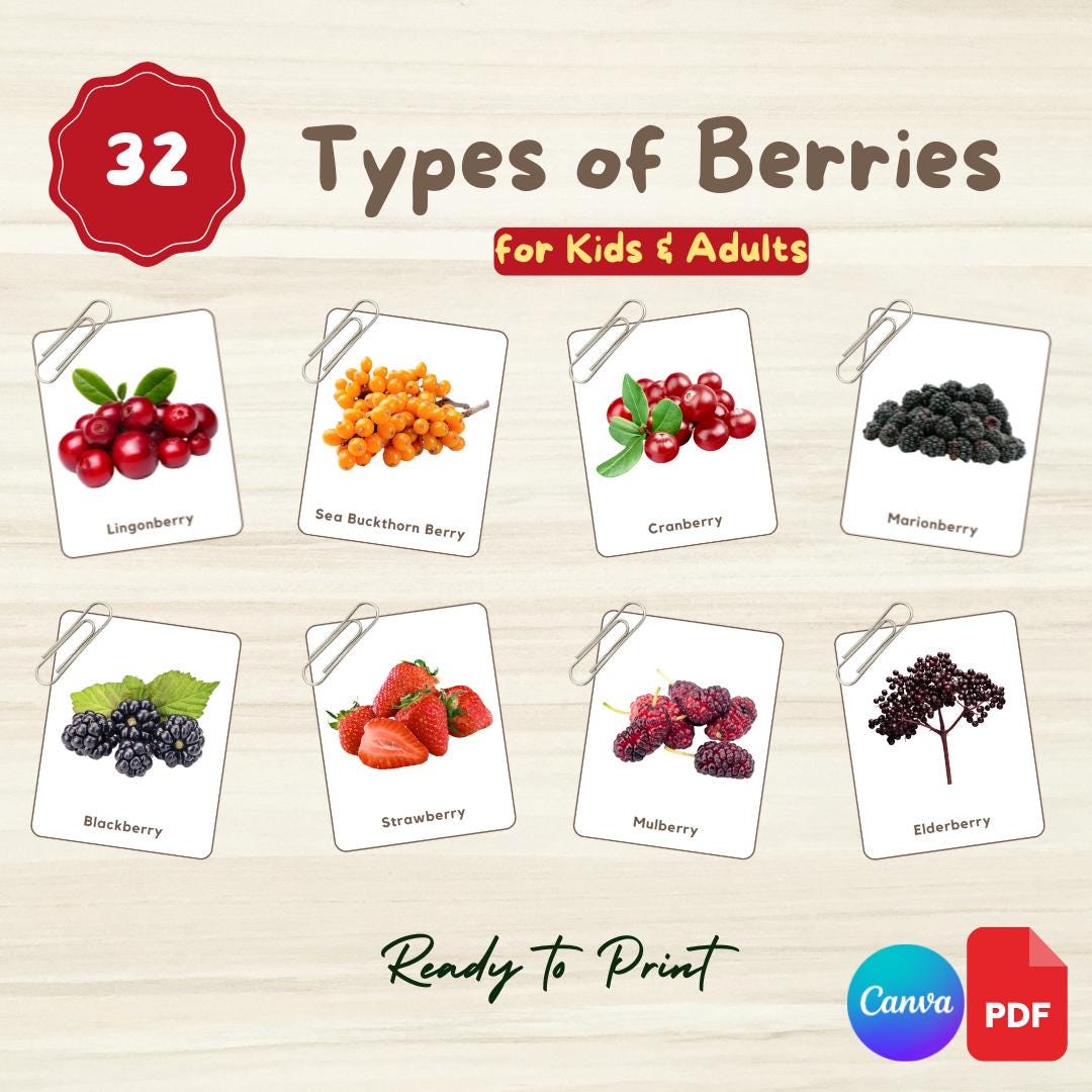 32 Types of BERRIES Flashcards: Montessori 3-part Cards (printable