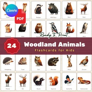 Könnte beinhalten: Ein Satz von 24 Lernkarten mit Waldtieren, darunter ein Bär, ein Reh und ein Fuchs. Jede Karte zeigt eine Illustration und den Namen des Tieres. Der Text lautet "Woodland Animals Flashcards for Kids".