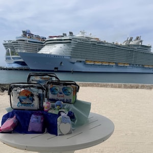 Elsa's Deluxe Cruise Essential Kit - travel items for your next cruise vacation!  8 great designs to choose from - what's your style?
