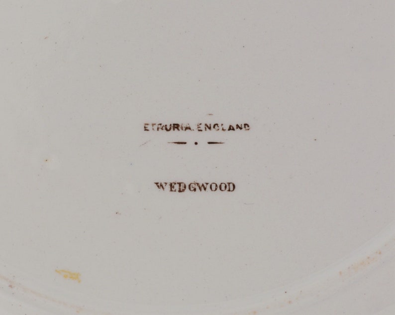 RARE Antique 1902 Wedgwood Etruria A4359 Rooster Pattern Etsy