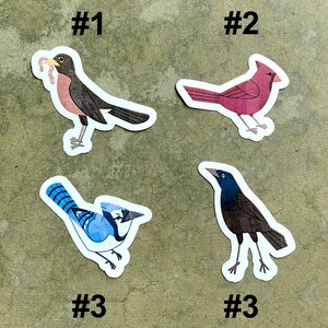Backyard Bird Series | 1 1/2 inch die-cut stickers, cartoon bird vinyl decals