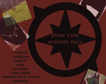 Stray Kids Hi-stay Lucky Box: Tour Finale in Seoul (all Inclusions