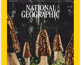 National Geographic USA - April 2024 Magazin Ausgabe Bestseller USA Magazin -PDF Version Sofort Download