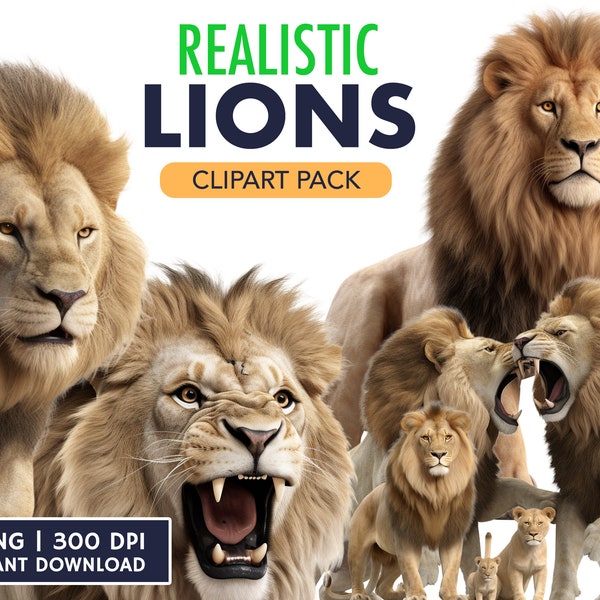 Lions Clipart - 14 High Quality PNG with Transparent Background - Realistic Clipart - Animal Clipart - Digital Download - Commercial Use