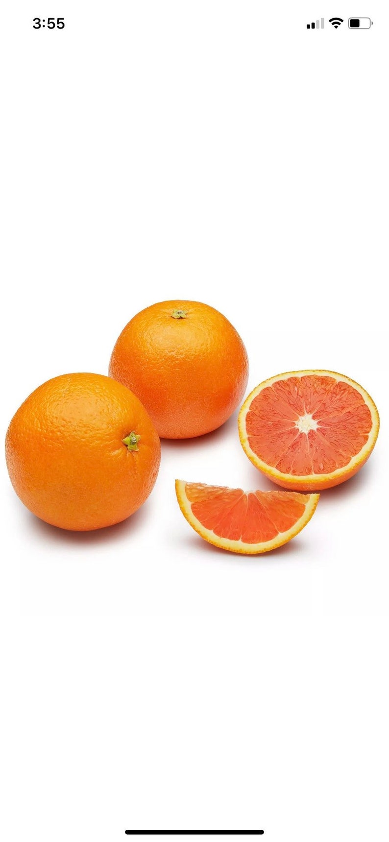 Cara Cara Red Navel Orange grafted Etsy