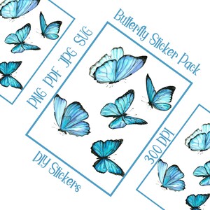 Blue Butterfly Pack