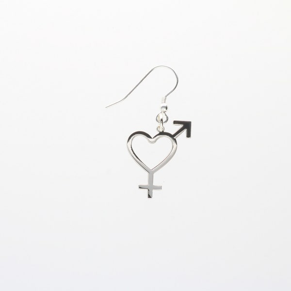 Metrosexual Earring, 925 Silver, LGBT, Pride, Statement Earring, Jewellery, Gift For Her, Gift For Him, Valentines Day, Queer Gift, Love