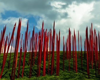 Abstract Art Photo Print, Cloudy Skies, Red Thorns on meadow, red abstract art photo, modern art photo print, art installation photo print