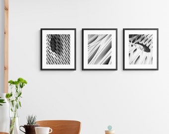 Set of 3 Photo Print The Broad LA, Los Angeles The Broad Photo Set, The Broad LA photo print, The Broad Los Angeles Photo Print Set