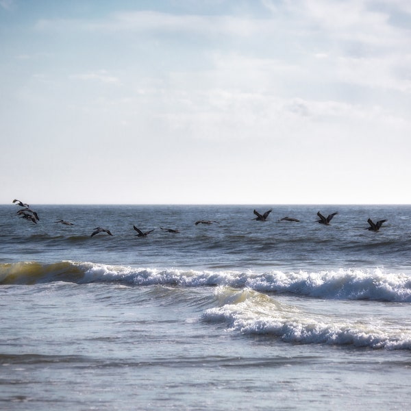 Pelicans flying over the ocean photo, Birds over ocean photo print, California Central Coast Photo Print, Pelicans flying over water photo
