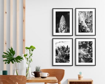 Set of 4 Photo Prints featuring closeups of plants, Black and White Photo Set of plants, Plants Photo Set, Closeup Shots of Plants Photo Set