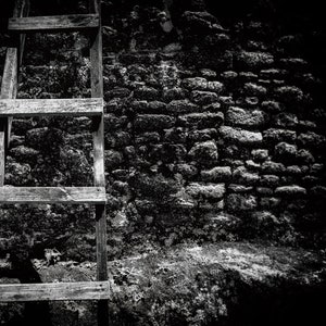 Old ladder photo print, black and white ladder on wall, ladder on wall photo, brick wall photo, brick wall photo print, ladder on brick wall