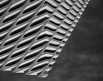 The Broad Los Angeles, The Broad Museum Los Angeles, Black and White Photo of the Broad, Los Angeles Photography, Los Angeles Museum Photo