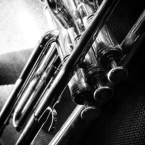 Closeup Photo of a Trumpet, Black and White Photo of Trumpet, New Orleans Trumpet Photo Print, Trumpet Digital Photo, Trumpet Musician Photo