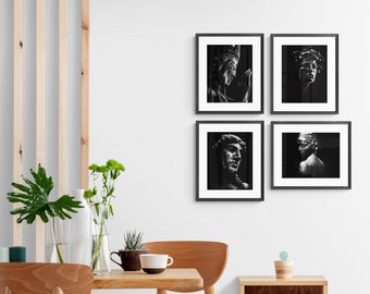Set of 4 Photo Prints featuring closeups of plants, Black and White Photo Set of plants, Plants Photo Set, Closeup Shots of Plants Photo Set