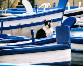 Travel Photo Print, Blue Boats on water, Gondola on water, Blue and white Gondola on water, Travel Photography, Cat on a boat photo print