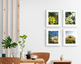 Set of 4 Photo Prints of Flowers, Flowers Photo Set, Closeup of Flowers Photo Set, Wild Flowers Photo Set, Colorful Flowers Photos