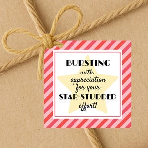 INSTANT DOWNLOAD Bursting With Appreciation For Your Star-Studded Effort Square Gift Tags 2.5x2.5
