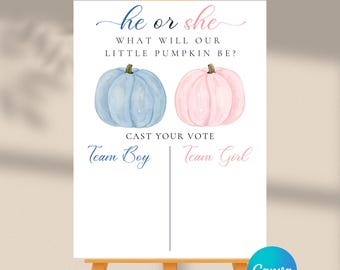 DIGITAL DOWNLOAD ONLY Fall Pink And Blue Pumpkin Gender Reveal Party Voting Poster