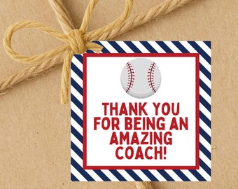 DOWNLOAD IMMEDIATO Etichette regalo quadrate "Grazie per essere un allenatore straordinario" da baseball, 2,5x2,5 cm