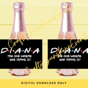 DIGITALE DOWNLOAD ALLEEN- Gepersonaliseerde Vrienden Thema Mini Champagne Labels 3x2