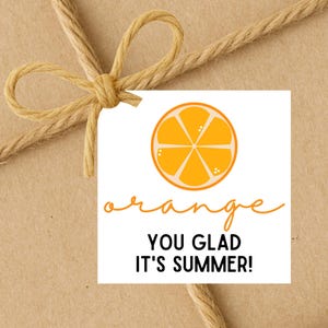 INSTANT DOWNLOAD Orange You Glad It&#39;s Summer Square Gift Tags 2.5x2.5
