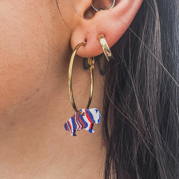 Buffalo Bills Zubaz Earrings