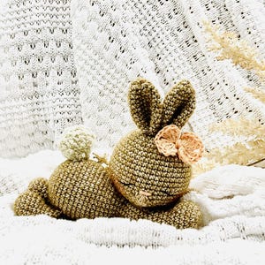 Crochet pattern bunny Lieselotte Amigurumi PDF file crochet pattern bunny Lieselotte PDF
