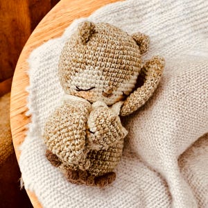 Könnte beinhalten: Ein gehäkeltes Stofftier in Form einer Eule, das auf einer weißen Decke schläft. Die Eule ist braun und weiß und hat eine kleine, gehäkelte Decke um ihren Körper.