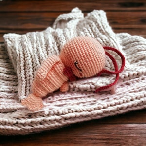 Crochet pattern shrimp Charlotte Amigurumi PDF file Crochet pattern shrimp Charlotte PDF
