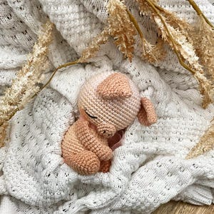 Crochet pattern pig Vroni piglet Amigurumi PDF file crochet pattern pig