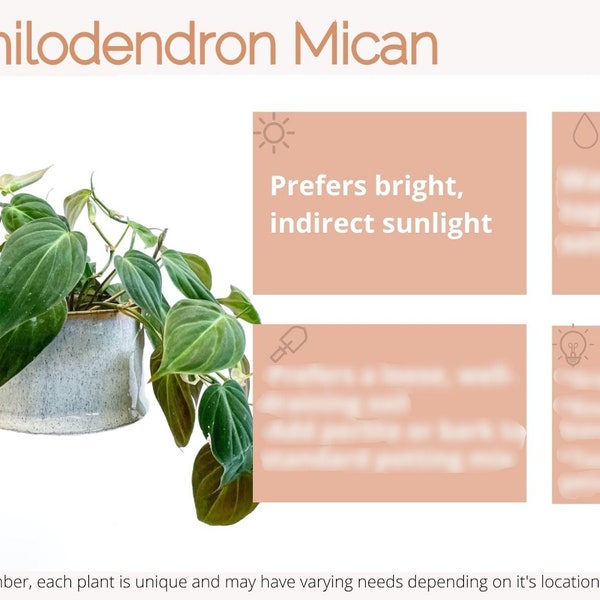 Philodendron Mican Digital Plant Care Card/Velvet Leaf Philodendron/Mican Philodendron