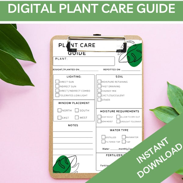 Spider Care Sheet - Etsy
