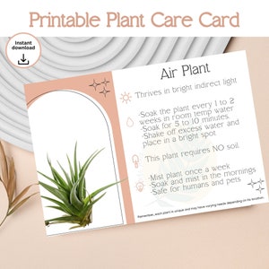 Air Plant Care Instruction Printable - Instant Download Plant Care Card, Indoor Plant Care, Watering Chart