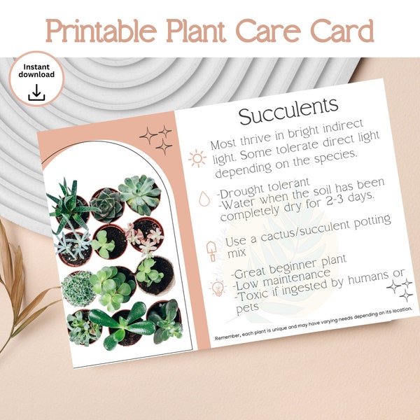 Succulent Care Instruction Printable - Instant Digital Download, Indoor Plant Care Guide, Beginner Friendly, Low Maintenance