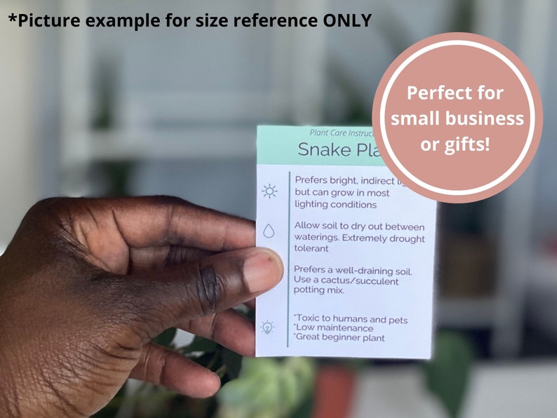 PRINTABLE ZZ Plant Care Card Simple Zamioculcas Zamiifolia Care Card