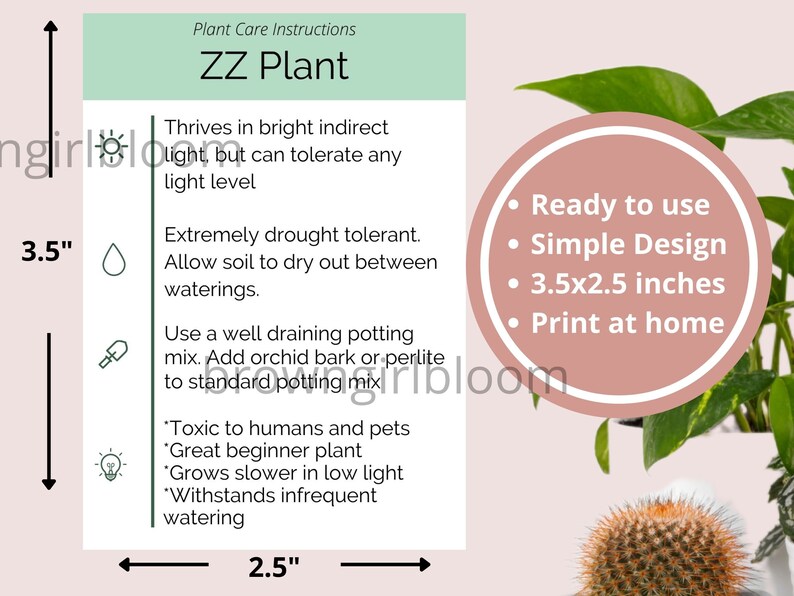 PRINTABLE ZZ Plant Care Card Simple Zamioculcas Zamiifolia Care Card Plant Care Card for Small