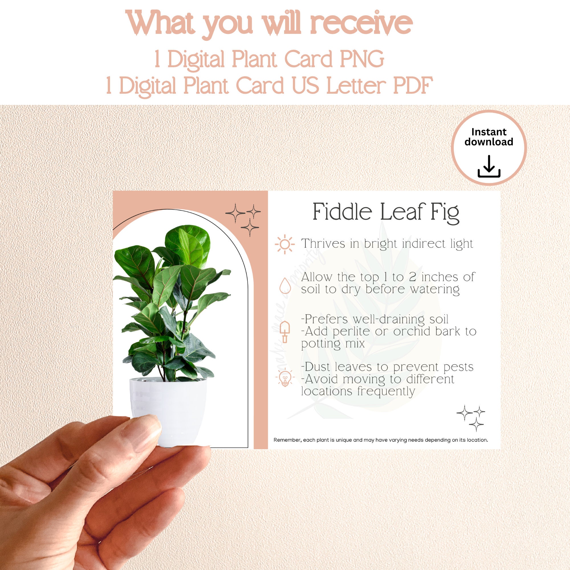 Fiddle Leaf Fig Plant Care Instruction Printable - Instant Download ...