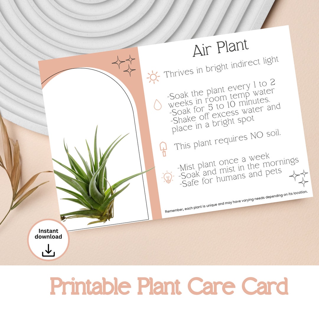 Air Plant Care Instruction Printable Instant Download Plant Care Card ...
