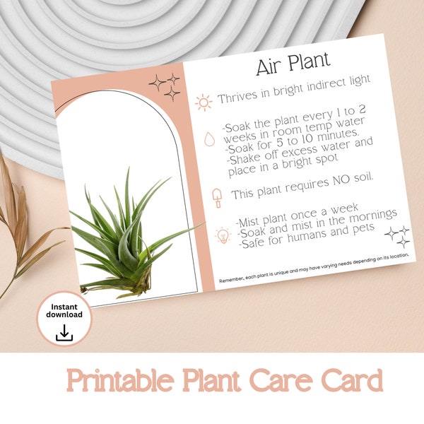 Air Plant Care Instruction Printable - Instant Download Plant Care Card, Indoor Plant Care, Watering Chart